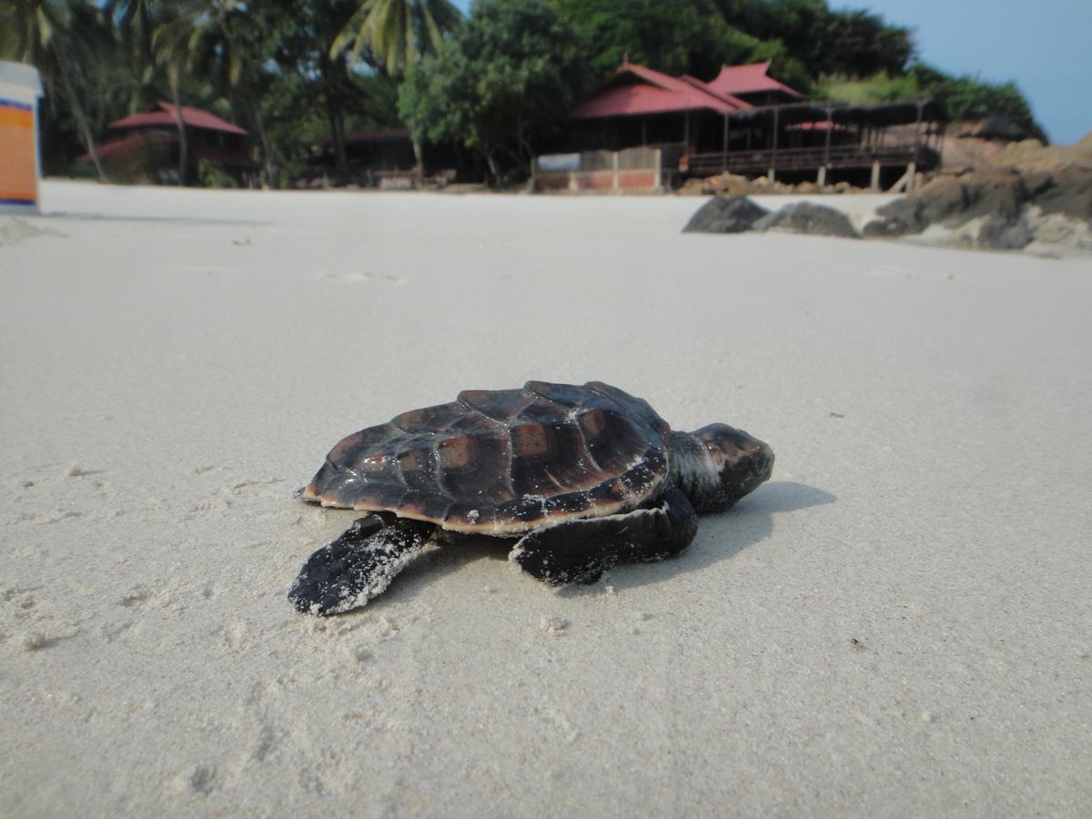 Redang Holiday Beach Resort Esterno foto